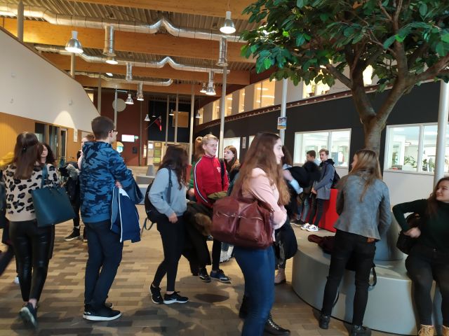 Projekt Holandsko 2020