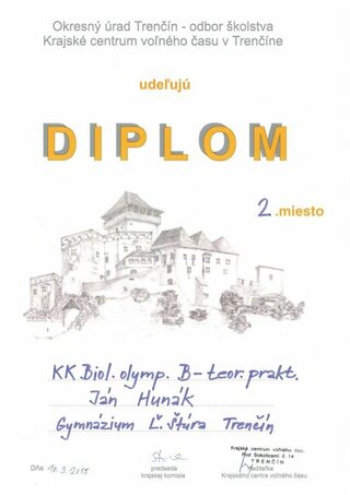 Diplom_Hunak