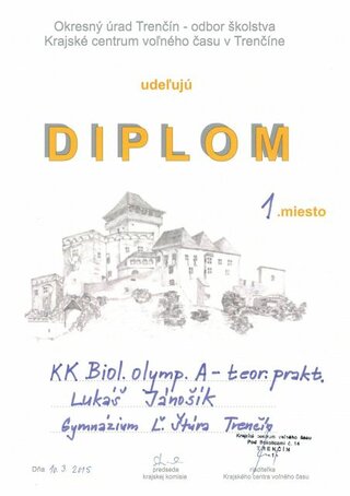 Diplom_Janosik