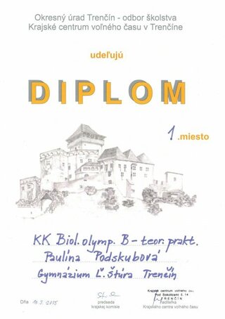 Diplom_Podskubova