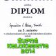 002 Diplom